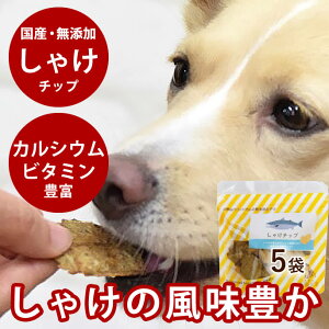   Ylꂽ Ⴏ`bv i 5܃Zbg j ybg    Ⴏ tBbV J[  L W[L[ Mtg  Y Ic R Y S S H