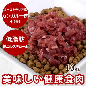 yP2{N[|zzzLp JK[bI[XgAYJK[~`g[ 10kgyⓀz ܂Ƃߔ1kĝ܂t hbOt[h H hbNt[h H