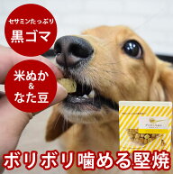 【割引クーポン配布中】デンタル 米ぬか ビスケット60g 無添加 国産 クッキー 小麦不使用 米粉 デンタル…