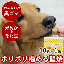 【割引クーポン配布中】犬用おやつ｜デンタル米ぬかビスケット60g　10袋セット+1袋 無添加 国産 米粉 犬用クッキー　犬用ビスケット 硬いおやつ デンタルクッキー 米ぬかおやつ 噛むおやつ 子犬から老犬まで安心のおやつ セサミン クリスマス お菓子