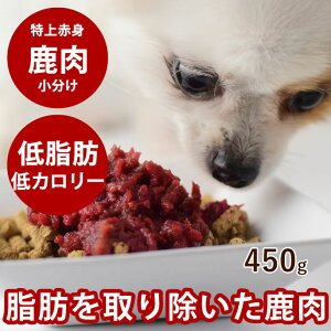 yP2{N[|zzzyⓀzLp@Ԑgg[ 450g@~`@ᎉb@J[@^Cv@@DHA@HQ@g𐧌ĂqɁ@X