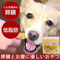【割引クーポン配布中】犬用クッキー｜オリジナルクッキー　膵ケアプラス　80g 犬用　無添加おやつ　国産…