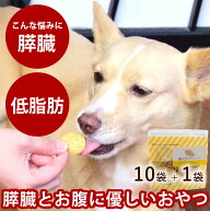 犬用クッキー｜オリジナルクッキー　膵ケアプラス　80g10袋＋1袋犬用　無添加おやつ　国産　低脂肪　トリ…