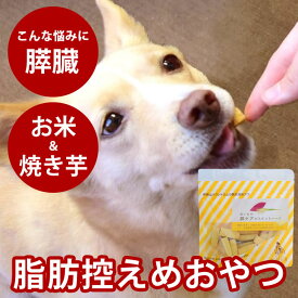 【割引クーポン配布中】犬 おやつ 無添加 国産 低脂肪 おいもの膵ケアビスケハード60g　愛犬用　無添加おやつ　国産　硬いおやつ　低リン　さつまいも　脂肪控えめ　芋　トリーツ