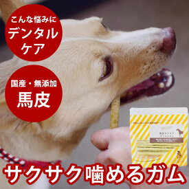 【割引クーポン配布中】犬 ガム 柔らかい 馬皮サクサクデンタルガム ガム デンタルトリーツ 犬用歯磨きガム 柔らかめガム 子犬 老犬 おやつ デンタル ガム 食いつき抜群 噛むおやつ 乳酸菌 パパイヤ タピオカ粉 低脂肪