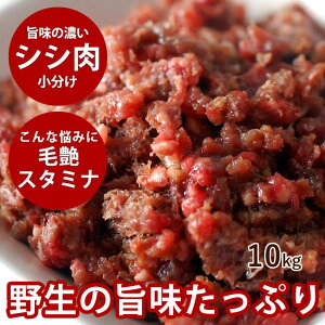 yN[|zzzp Ⓚ VV~` g[ 10kg+1kg yⓀz֗ȏʃpbN Hא؂ щ ^pN J[ 10kg hbOt[h p    z 