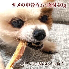 【割引クーポン配布中】サメの中骨ガム・肉付40g　犬用　デンタルケア　おやつ　ジャーキー　シニア犬　アブラツノ鮫