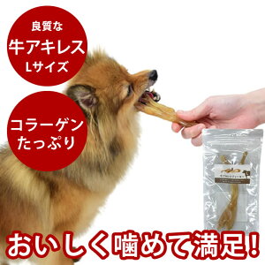 yN[|zzz^ f^ K W[L[ ALXW[L[L 40g SEY  ^  C   a \h XgX U  ߂@ᎉb@