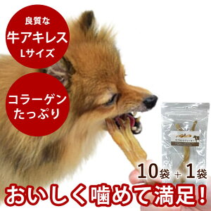 yN[|zzz^ f^ K W[L[ ALXW[L[L 40g×11 SEY ^  C   a \h XgX U  ߂@ᎉb