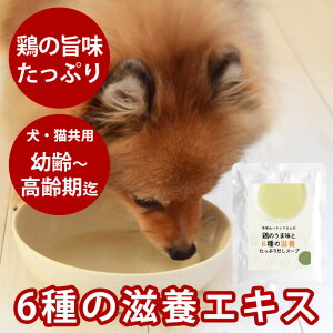 yN[|zzzĽ{̂ܖ6̎{Ղ肾X[v@1܁i50gjp Lp e eL VjA ggpE` Y Y ⋋ 