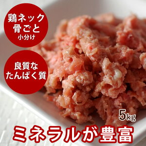 yN[|zzzL  Y{̃lbNƃ~`5kg yⓀzY  H Lt[h JVE yfՂ萶 hbOt[h { p  VjA܂ōׂ