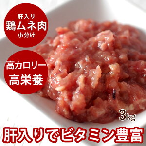 yN[|zzz  l̓~` 3kg yⓀzYVNȌ{~` H Lt[h r^~AՂyyzhbOt[h { p p ~` q qL V