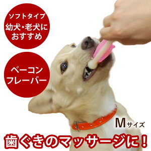 yP2{N[|zzzp Hartz f^{[ \tg^Cv MTCYp av[gyybgpߋ Mtg pMtg  ̂  f