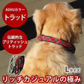 愛犬 首輪 ASHU トラッド Lサイズ【リードは別売り】