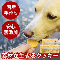 【割引クーポン配布中】犬 おやつ 無添加 国産 オリジナルクッキー 国産無添加 低カロリー 子犬 老犬 ド…
