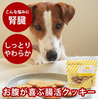 犬 おやつ 無添加 国産 腸活！きな粉ヨーグルトのしっとりクッキー【冷凍便】犬 おやつ 腎臓 カルシウム …