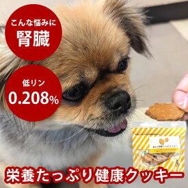 犬 おやつ 無添加 国産 低リン栄養たっぷりクッキー60g　低リン　低ナトリウム　低カリウム　高カロリー 　全粒粉　全卵　太らせたい　腎臓　優しい