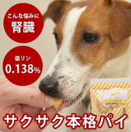【割引クーポン配布中】犬 おやつ ちびっこみるくパイ 60g 国産 無添加 犬用クッキー やわらかい サクサ…