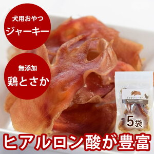 yN[|zzz ƂW[L[i 5܃Zbg jypW[L[z YW[L[ K ALX gTJ { `L f^PA h{@ pp̂