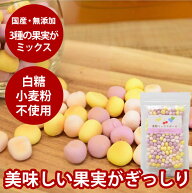 【割引クーポン配布中】犬用おやつ｜無添加 果物ミックスボーロ 50g 【無添加おやつ】国産　子犬　シニア…