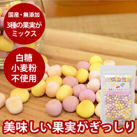 犬用おやつ｜無添加 果物ミックスボーロ 50g 【無添加おやつ】国産　子犬　シニア　ご褒美　低脂肪　犬のおやつ　フルーツ　低リン