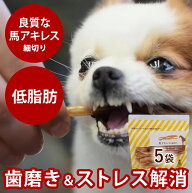 【割引クーポン配布中】犬用 馬アキレス細切り60g（ 5袋セット ）無添加 低脂肪 ジャーキー 犬用ガム 犬…