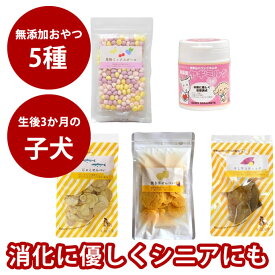 愛犬用　子犬にやさしい安心無添加おやつセット (無添加ボーロ 60g→50gに順次切り替え) シニアにもおすすめ