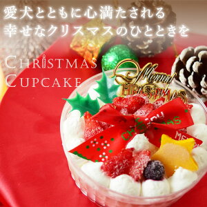 y\t12{菇z2025N  P[L NX}X fR[V JbvP[L  Y NX}XP[L Xmas Christmas p P[L ybgp P[L ^ ^ ^ V