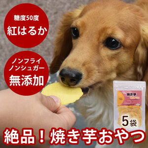 yN[|zzz  Y Y Ăׂ 5܃Zbg(40g×5) ᎉb  Ă ܂ S̎R̂ ۑsgp g͂邩  p `Lr[t