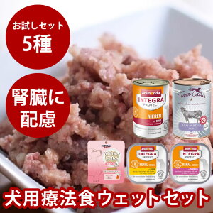 yN[|zzzp tPAʋlEFbgZbg@5itaÖ@Hj჊ŐtɔzꂽÖ@H@5̖@ta