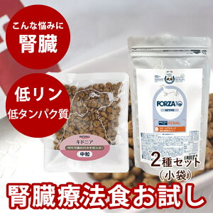 yN[|zzztÖ@HbptPAhCt[h@܃Zbg@LhjA@forza10i[ANeBu @ta@Ö@H@tsS@hbOt[h@hbNt[h@forza10