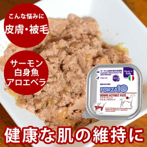 FORZA10Ö@Hbp ANeBEFbg f T[nC̔gi畆сj 100g@pe^Cv(tHc@fBG`) h{H