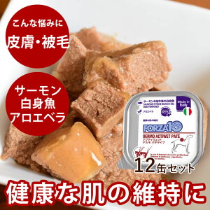 yN[|zzzFORZA10Ö@Hbp ANeBEFbg f T[nC̔gi畆сj 100g×12ʃZbg@pe^Cv(tHc@fBG`) h{H