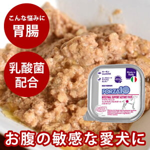 yN[|zzzFORZA10Ö@HbpANeBEFbg CeXeBi T[iݒj100g@pe^Cv@(tHc@fBG`)@h{H