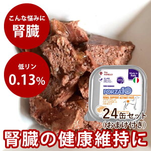 yN[|zzz y܂tzFORZA10Ö@HbANeBEFbg i[(tPA)@100g×24ʃZbg@pe^Cv@p@(tHc@fBG`)@tp[C15ĝ܂t