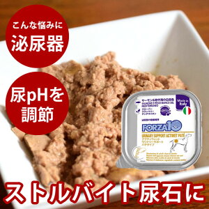 yN[|zzzFORZA10Ö@Hbp ANeBEFbg Ei[T[nC̔giAj100g@pe^Cv@XgoCgΉ@VE_JVE΂͔ΉƂ