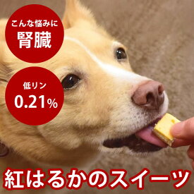 【P2倍＆割引クーポン配布中】おやつ　食堂手作りスイーツ 紅はるかの焼き芋クリームサンド　1袋6枚入り　無添加おやつ　国産　スイートポテト　冷凍ドッグフード　フレッシュドッグフード クリスマス バレンタイン
