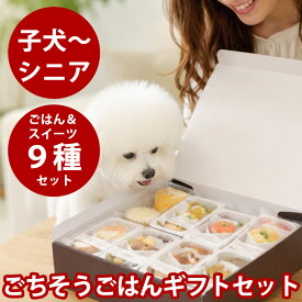 犬用 ソーシャルギフト｜ごちそうごはんセレクション ギフトセット（9種）【冷凍便】無添加 ギフト プレゼント おやつ 詰め合わせ 高級 贈り物 お祝い 誕生日 バースデー 記念日 お中元 お歳暮 バレンタイン クリスマス 可愛い ラッピング