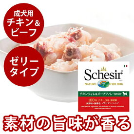 Schesir（シシア） ドッグ ゼリータイプ チキン＆ビーフ缶　150g 犬用缶詰　ウェットフード　一般食　鶏　牛
