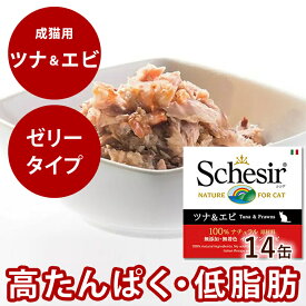 シシア キャット ツナ＆エビ 85g 14缶セット 猫缶 ウェットフード 無添加 高品質 プレミアム Schesir（シシア） ゼリータイプ 猫用 缶詰