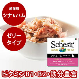 シシア キャット ツナ＆ハム 85g 猫缶 ウェットフード 無添加 高品質 プレミアム Schesir（シシア） 猫用 缶詰 ゼリータイプ