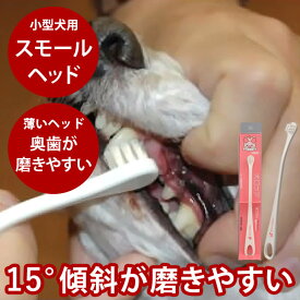 【P2倍＆割引クーポン配布中】NEW！犬口ケア 歯ブラシ スモールヘッド【犬 デンタル 犬用歯磨き】犬用ハブラシ 小型犬はみがき 犬口ケア 犬用 デンタルケア 犬用歯ブラシ 犬の歯磨き オーラルケア デンタルクリーン お手入れ