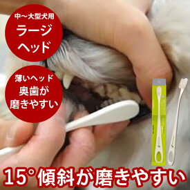 【P2倍＆割引クーポン配布中】NEW！犬口ケア 歯ブラシ ラージヘッド【犬 デンタル 犬用歯磨き】犬用ハブラシ 大型犬 中型犬 はみがき 犬口ケア デンタルケア 犬用歯ブラシ 犬の歯磨き オーラルケア 犬のグッズ デンタルクリーン 柴犬 コーギー お手入れ ドック