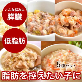 愛犬用 低脂肪の安心レトルトセット 5袋（1袋×5種） 犬用 パウチ ウェットフード 一般食 国産 膵臓にやさしい 体重管理 低脂肪 低カロリー お試し 鶏 馬肉 鮭 おかゆ クリームシチュー お手軽 震災 非常食 保存食 在庫あり