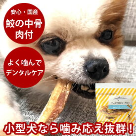 サメの中骨ガム・肉付40g　犬用　デンタルケア　おやつ　ジャーキー　シニア犬　アブラツノ鮫　肉付き　鮫　無添加　国産　小型犬　犬　?むおやつ　低脂肪