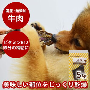 yN[|zzzpLpW[L[ ɏ㋍W[L[ 30g×10܁{1܂܂Zbg SEY@  HQ ^ ^ ^ d߂̂ {A