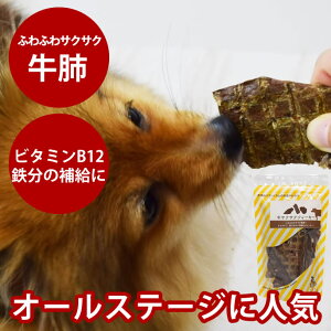 yN[|zzz L pW[L[ TNTNW[L[ 50g S Y@Y ybg J  Kxȍd {AM[̎qɂ q V p