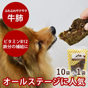   Y Y W[L[ TNTNW[L[ 50g×10܁{1܂܂Zbg SEY@Y ybg Ic J {AM[̈ɂ  