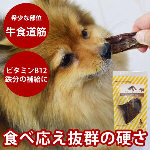 y|Cg5{zpW[L[ W[L[n[h 50g SEY@ p ̂ f^ 悢d Hǂ h{Lx c   