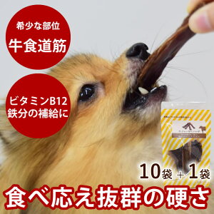 pW[L[ W[L[n[h 50g×10܁{1܂܂Zbg SEY@Y g[c Ic J  f^ ߂ {AM[̈ɂ q V